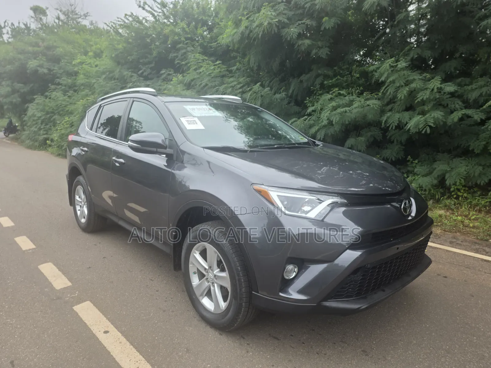 Toyota RAV4 XLE 4dr SUV AWD (2.5L 4cyl 6A) 2014 Gray