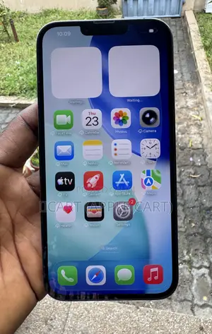 Apple iPhone 13 Pro Max 256 GB Gray