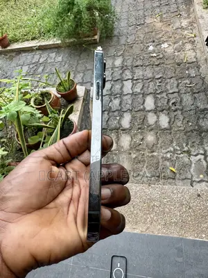 Apple iPhone 13 Pro Max 256 GB Gray
