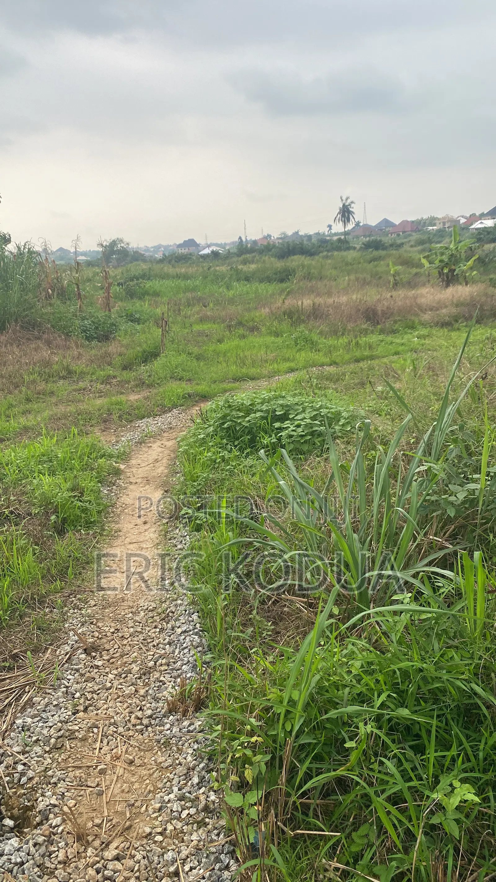 Land for Sale