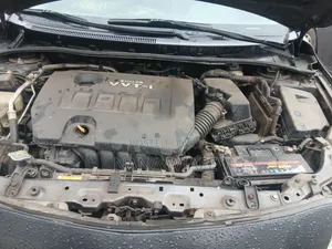 Toyota Corolla LE 4dr Sedan (1.8L 4cyl 4A) 2010 Gray