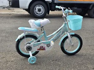 Kids Bike Features Matching Training Wheels and Basket 4-6yrs
