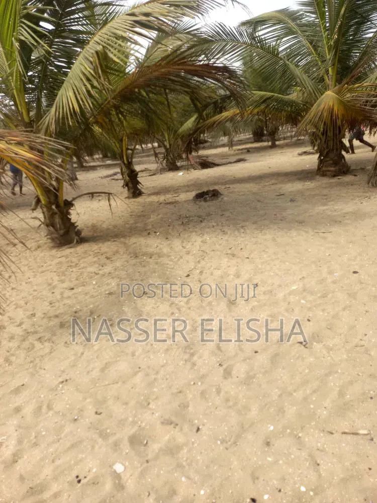 Beachfront for Sale