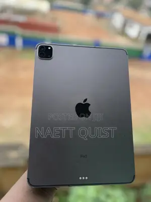 Apple iPad Pro 11 (2021) 256 GB Gray