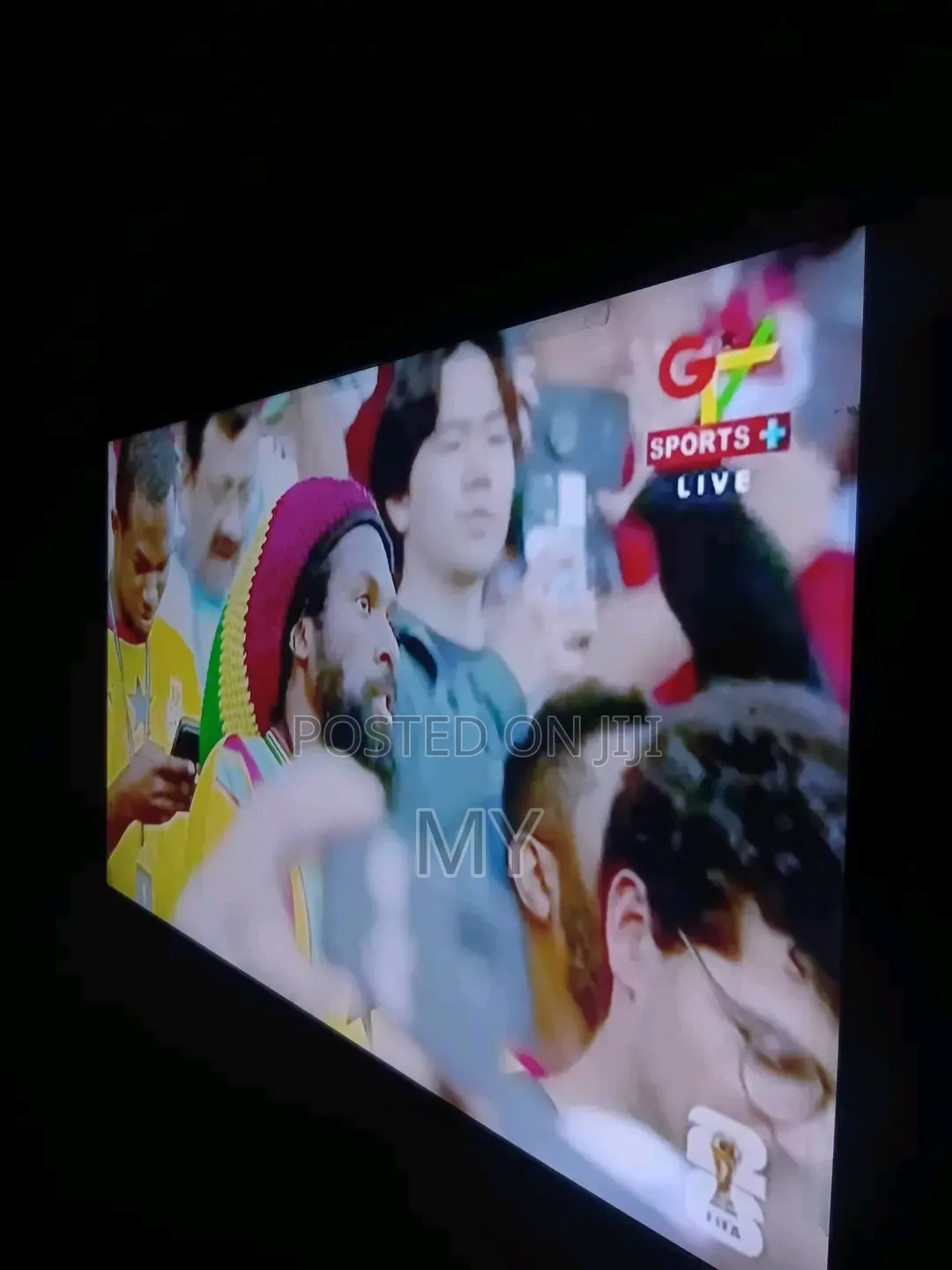 Nasco 50 Inches Digital TV