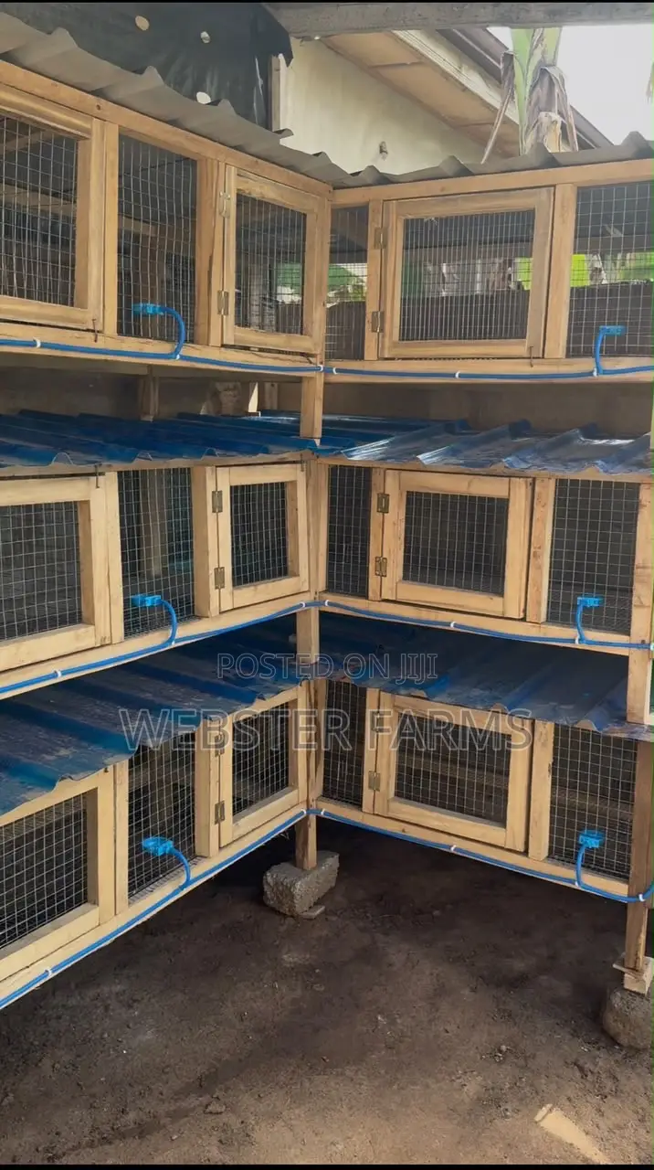 Modern Wooden Rabbit and Grass Cutter Cages