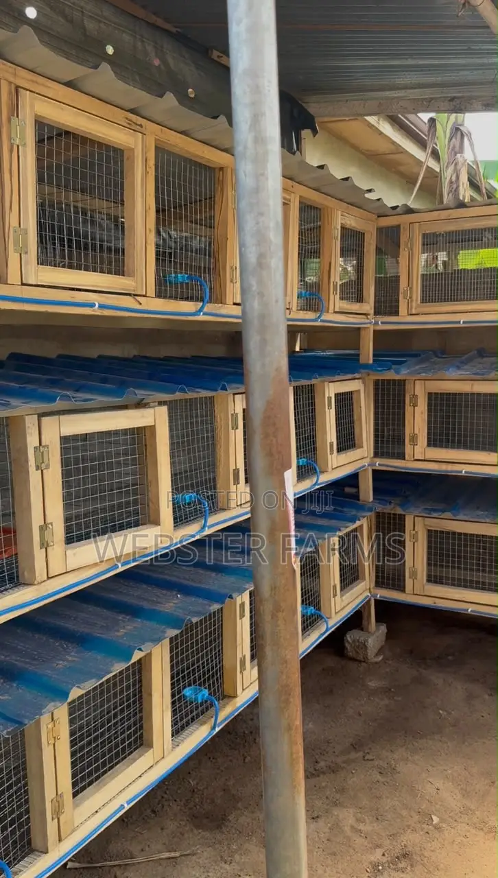 Modern Wooden Rabbit and Grass Cutter Cages