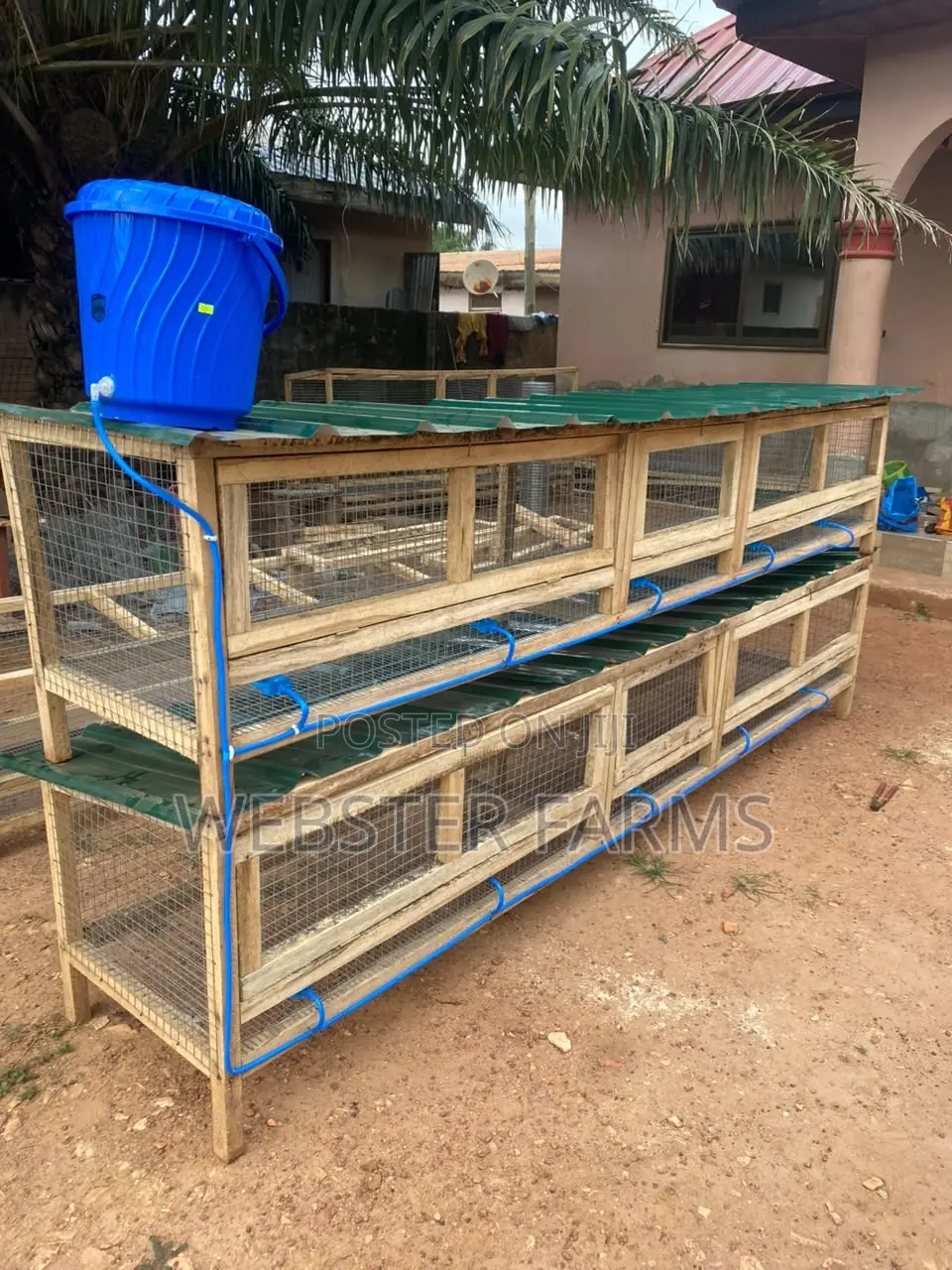 Modern Wooden Rabbit and Grass Cutter Cages