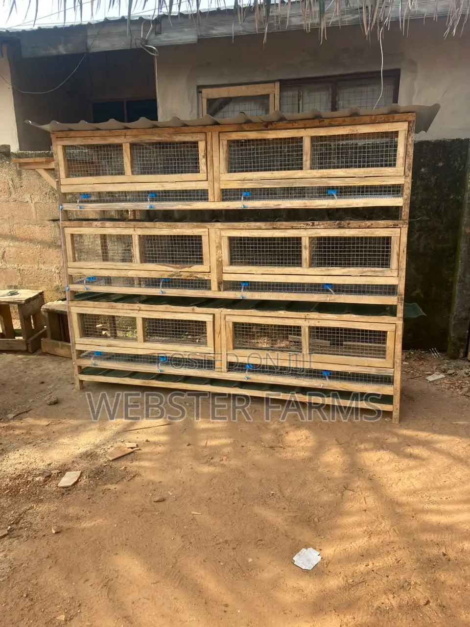 Modern Wooden Rabbit and Grass Cutter Cages