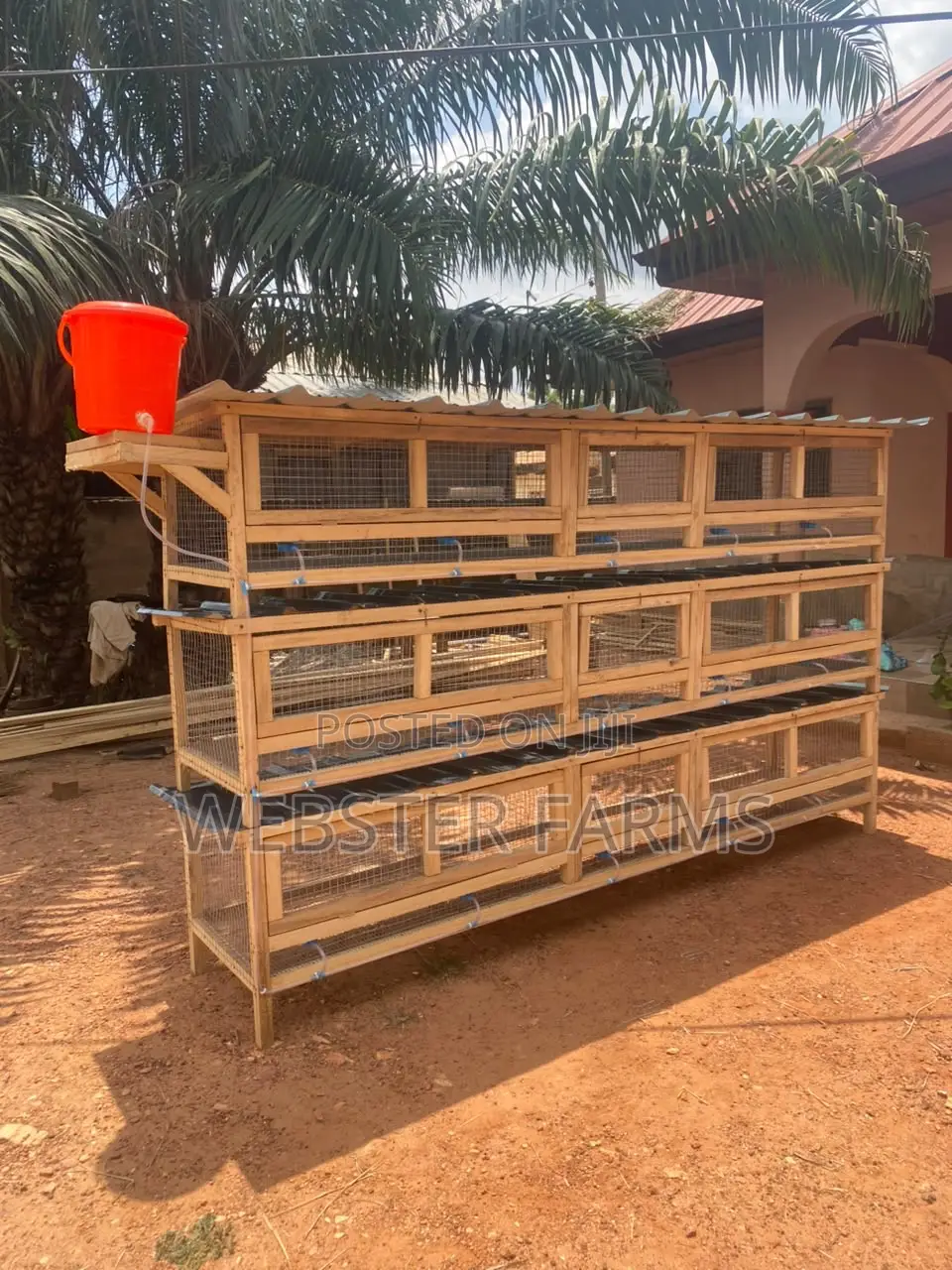 Modern Wooden Rabbit and Grass Cutter Cages