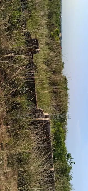 Free Demarcated Half Plot - Prampram