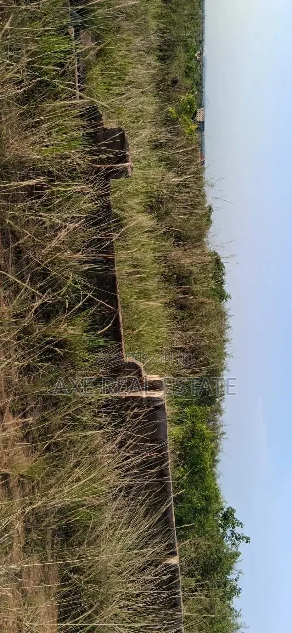 Free Demarcated Half Plot - Prampram