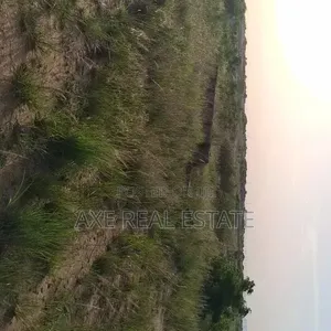 Free Demarcated Half Plot - Prampram