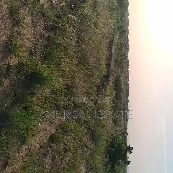 Free Demarcated Half Plot - Prampram