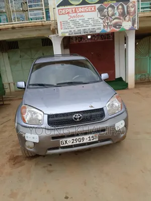 Toyota RAV4 2006 Gray