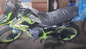 New Apsonic AP200ZH-VIP 2026 Green