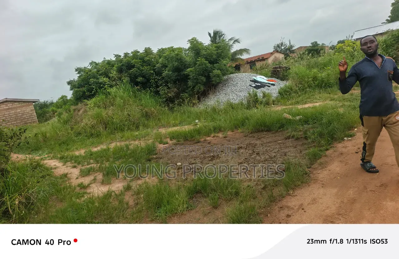 One Plot, Land Amasaman Danchira