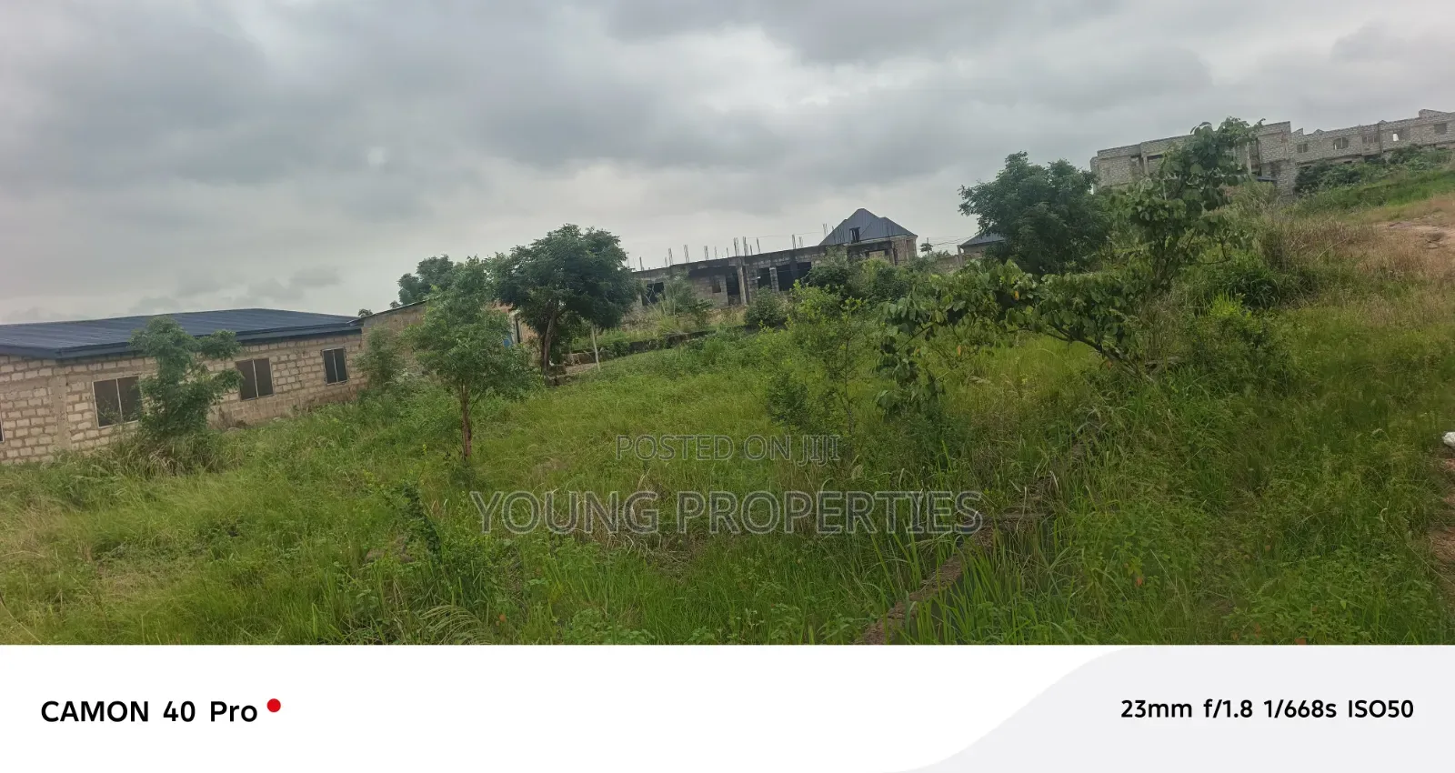 One Plot, Land Amasaman Danchira