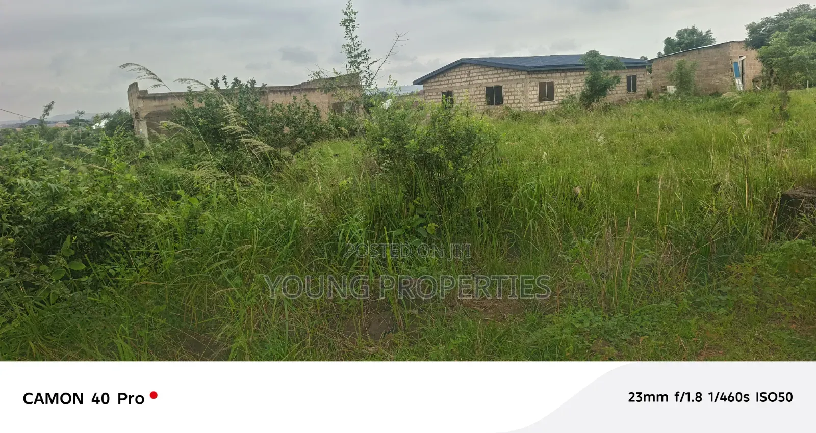 One Plot, Land Amasaman Danchira