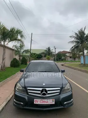 Mercedes-Benz C250 2014 Gray