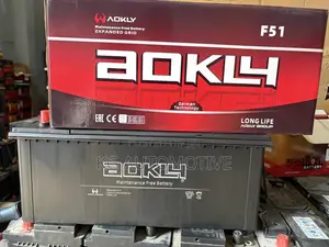 21 Plate Aokly Battery