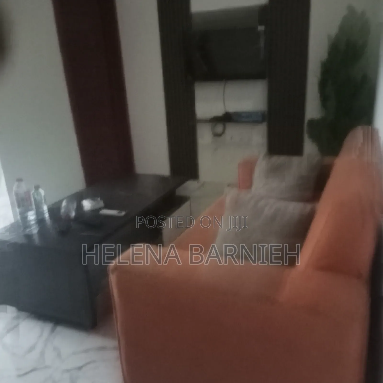 Furnished 1bdrm Apartment in Helena Estate Agency, Ga East Municipal