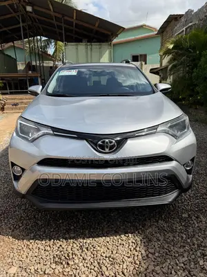 Toyota RAV4 XLE AWD (2.5L 4cyl 6A) 2017 Silver