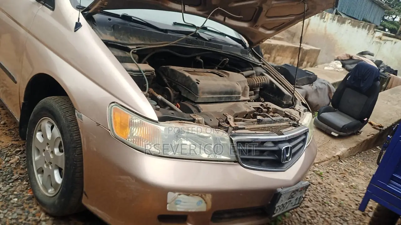 Honda Odyssey 2009 Brown