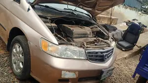 Honda Odyssey 2009 Brown