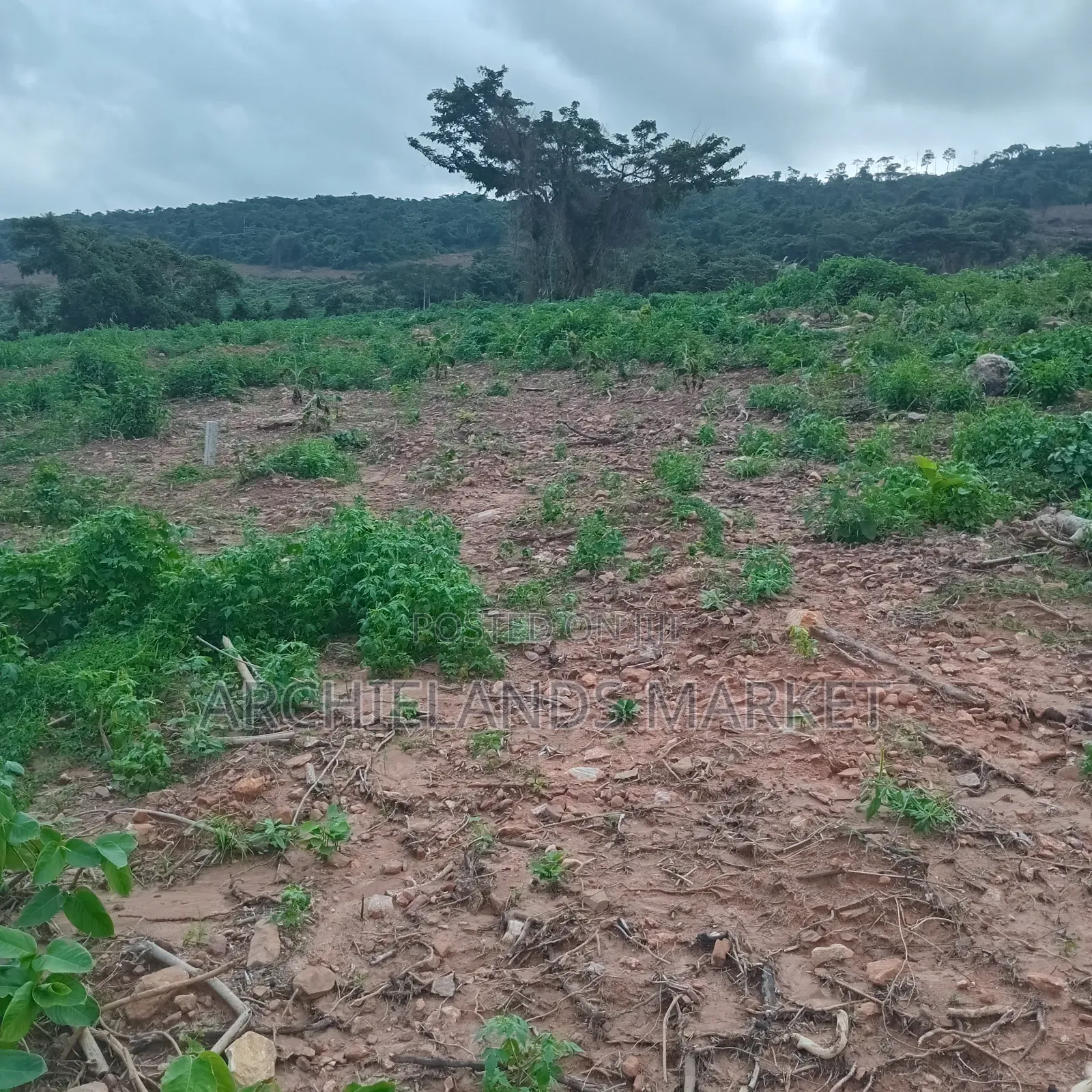 Land at Aburi Hills for Sale