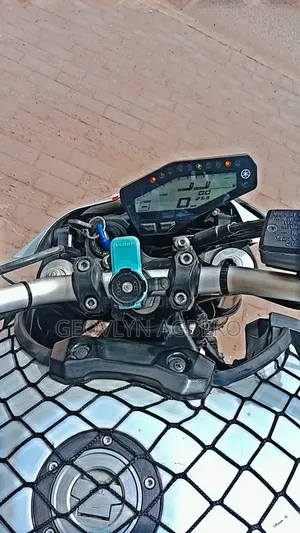 Yamaha 2021 Gray