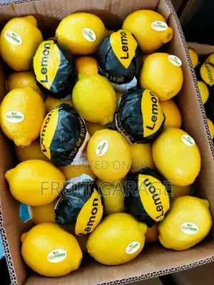 Imported Lemonade