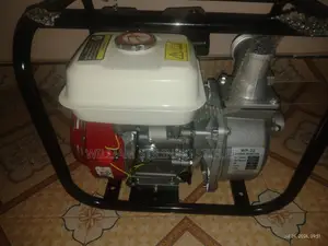 WP20 2-Inch Gasoline Water Pump