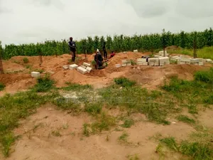 Estate Lands for Sale