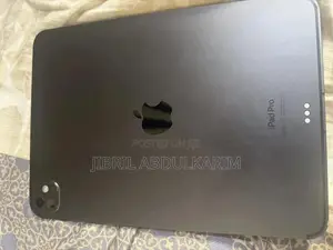 Apple iPad Pro 256 GB Silver