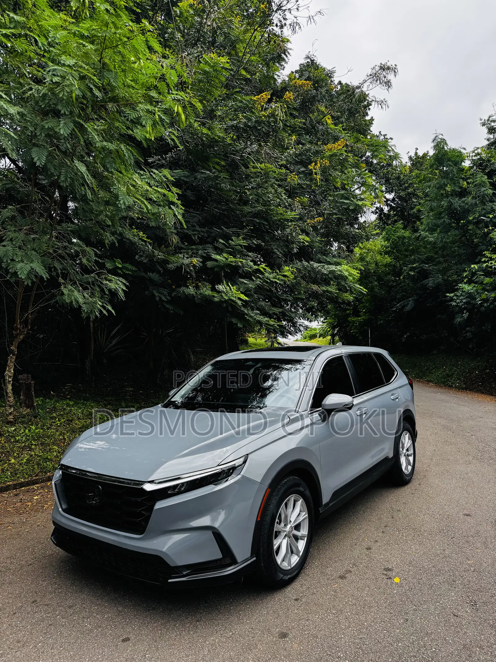 Honda CR-V EX-L AWD 2025 Gray