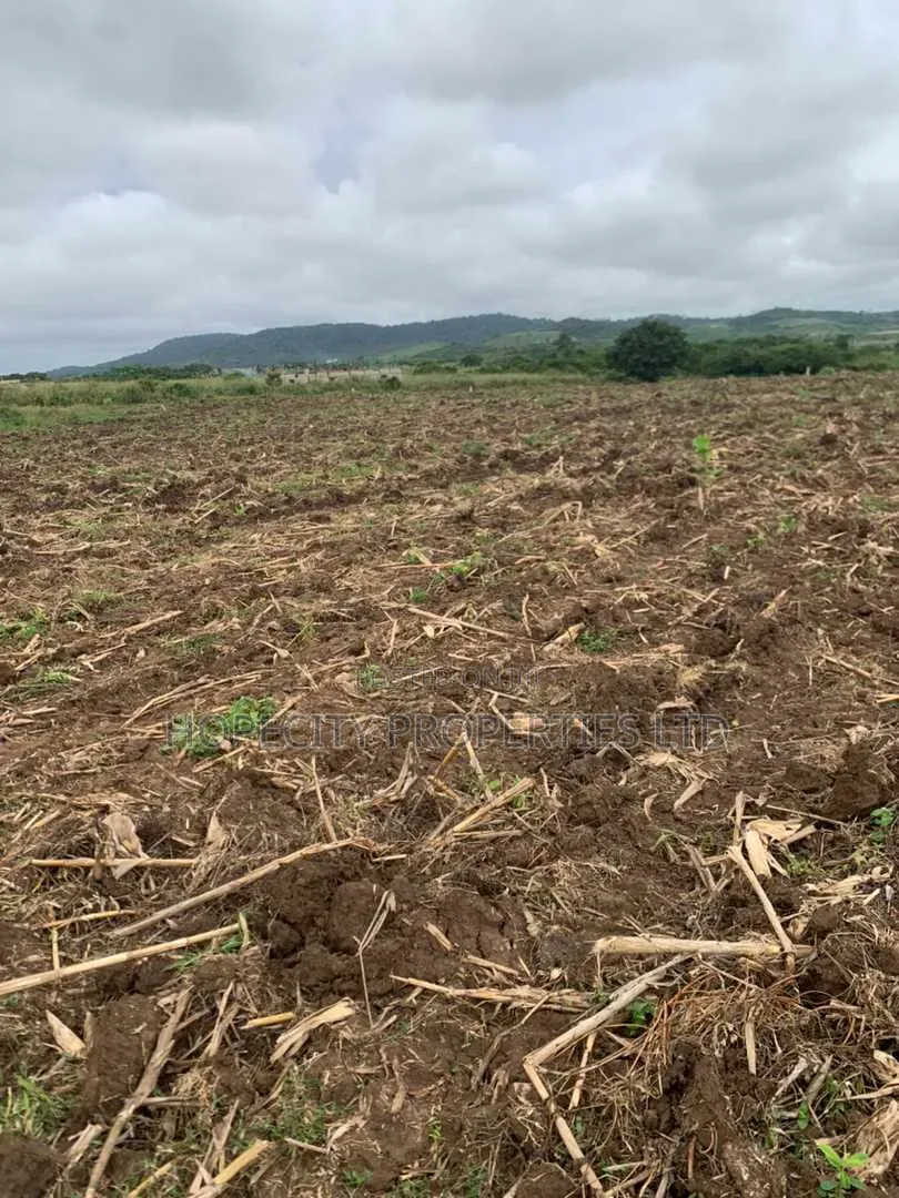 Available Lands at Amasaman-Danchira