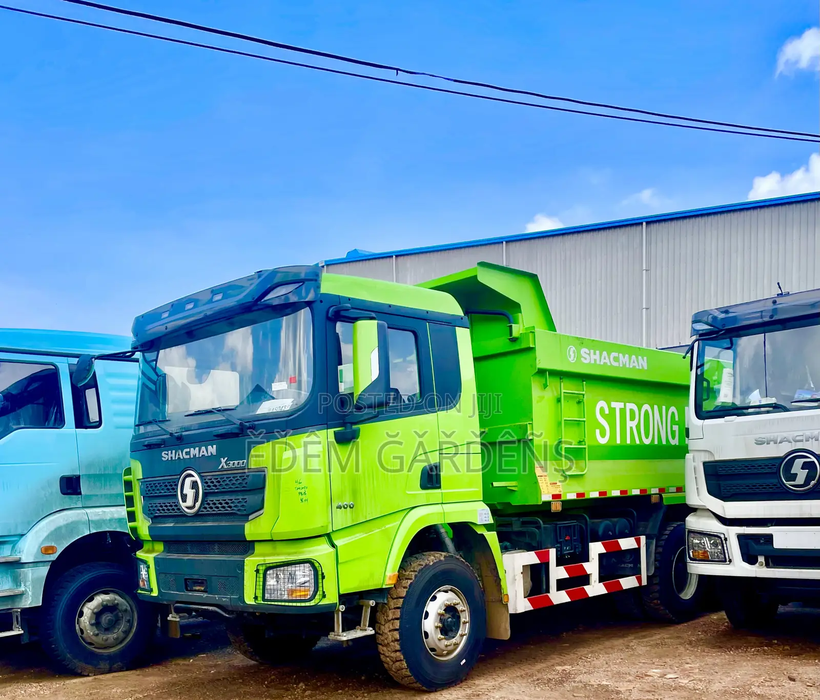 Brand New SHACMAN 10/12 Wheeler TIPPERS FOR SALE(All Colours/Models)