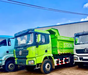 Brand New SHACMAN 10/12 Wheeler TIPPERS FOR SALE(All Colours/Models)