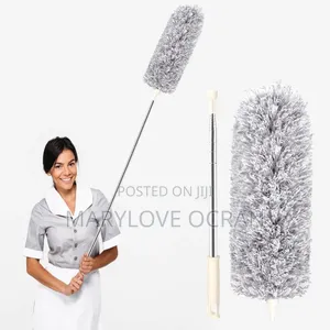 Adjustable Dust and Cobwebs Remover