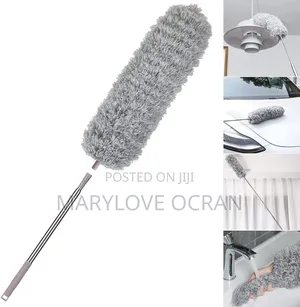 Adjustable Dust and Cobwebs Remover
