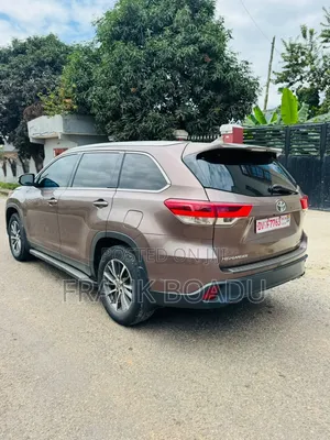 Toyota Highlander 2019 Brown
