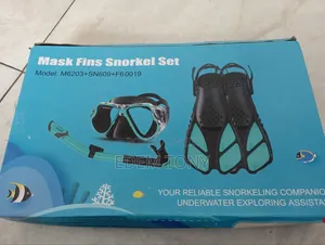 Mask Fins Snorkel Set