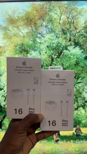 iPhone Charger