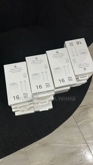 iPhone Charger