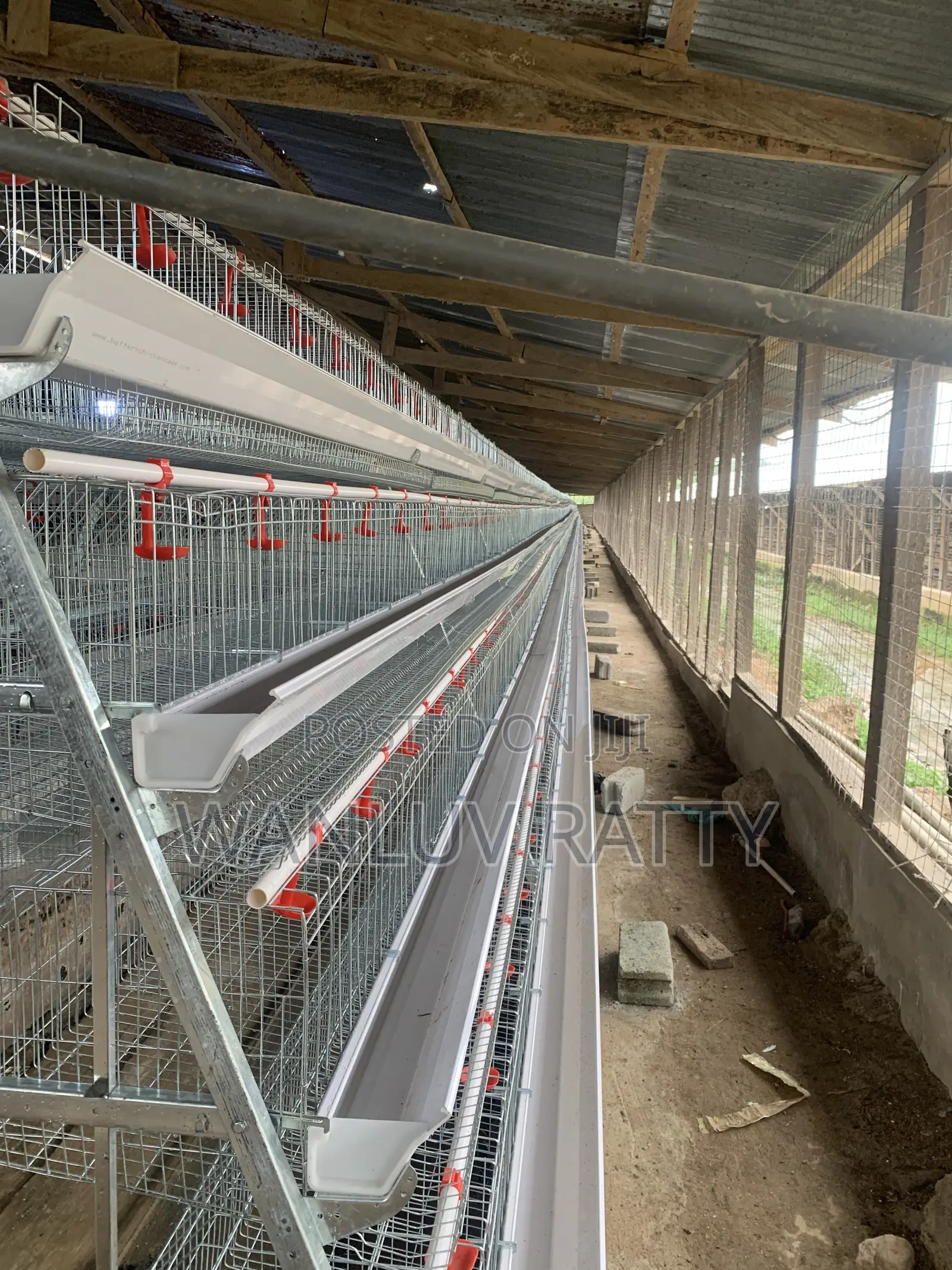 Galvanized Poultry Cages