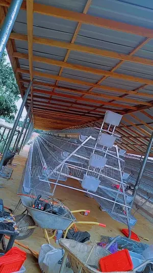 Galvanized Poultry Cages