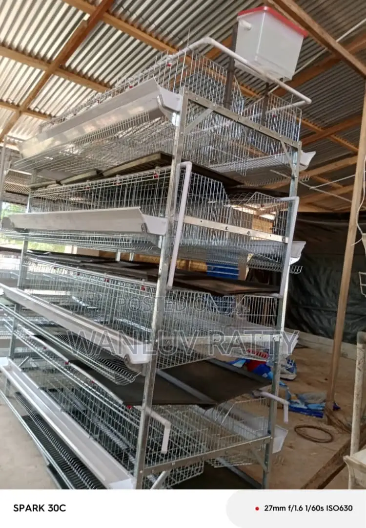 Galvanized Poultry Cages