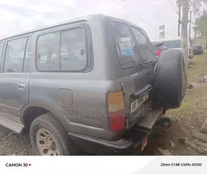 Toyota Land Cruiser 1996 Gray