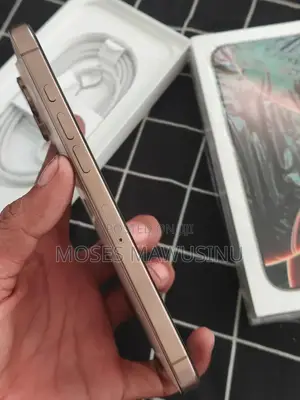 Apple iPhone 16 Pro Max 256 GB Gold